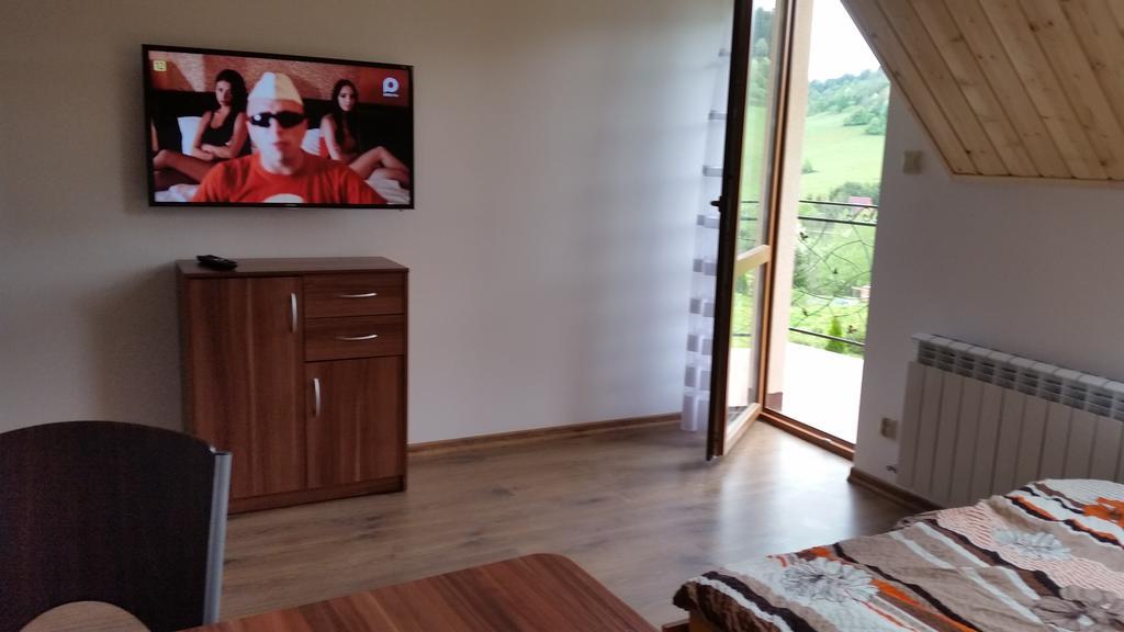 Pensjonat Na Zielonym Wzgorzu Zawóz Kamer foto