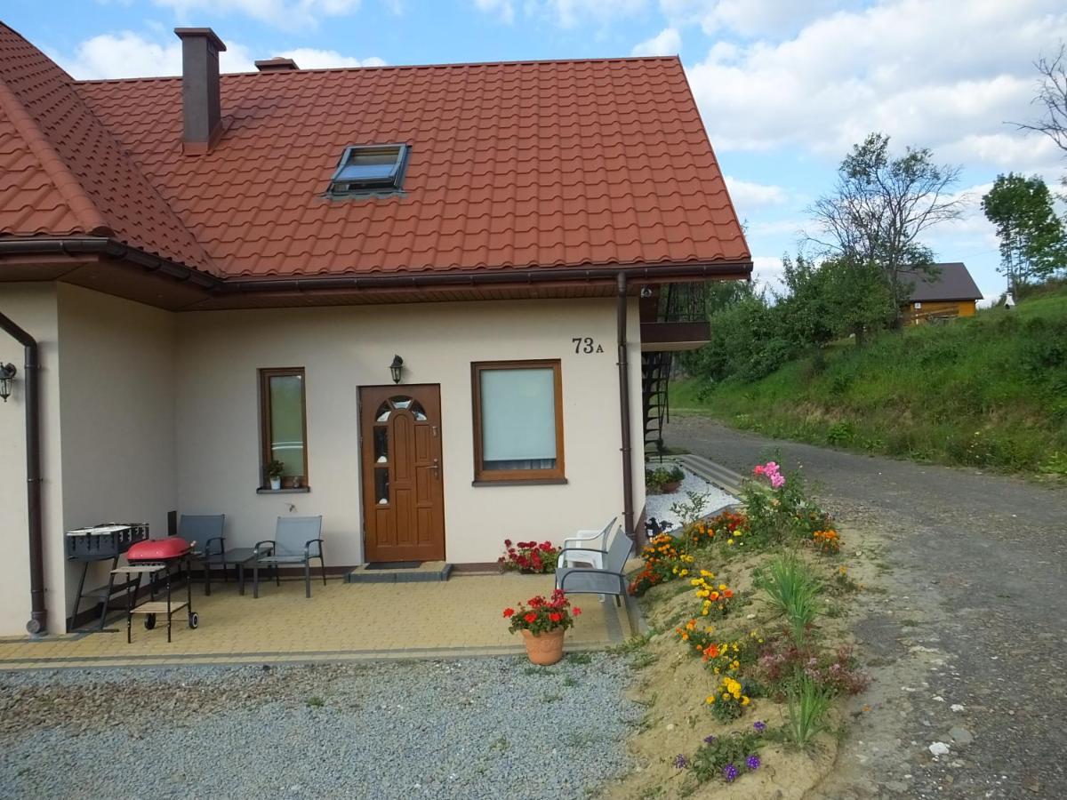 Pensjonat Na Zielonym Wzgorzu Zawóz Buitenkant foto
